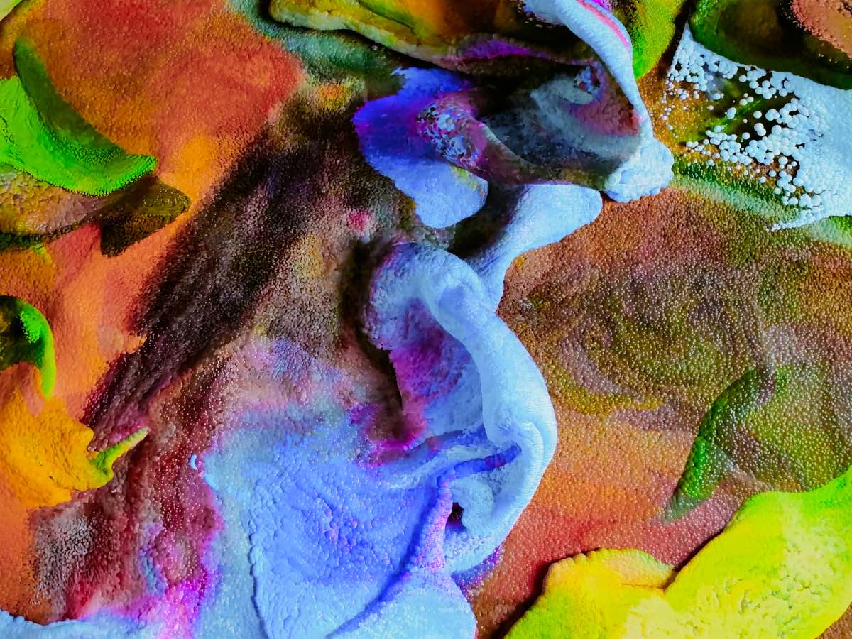 Un frame di Floral Pigmentations di Rafik Anadol